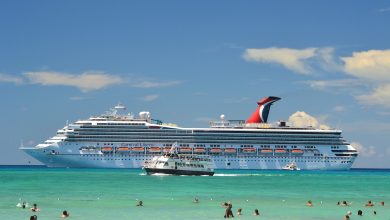 exploring-the-new-family-ban-on-carnival-cruise-lines-–-fangwallet